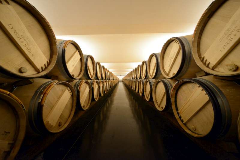 Barrels as far as the eye can see at Lynch Bages